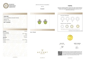 Certificat Gemologic Agl Cercei din argint cu peridote și diamante naturale RC3214