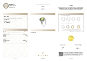 Certificat Gemologic Agl Inel din argint cu turmalină naturală și diamante naturale RI8917