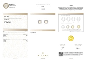 Certificat Gemologic Agl Cercei din argint cu opale naturale și diamante naturale RC3329