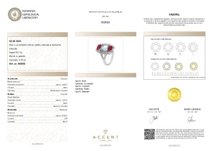 Certificat Gemologic Agl Inel din argint cu acvamarin, rubine și diamante naturale RI8893