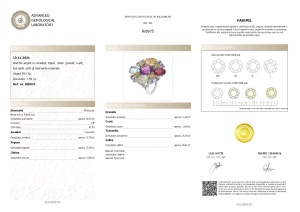Certificat gemologic Agl Inel din argint cu ametist, topaz, citrin, granat, cuarț, tanzanit, safir și diamante naturale RI8975