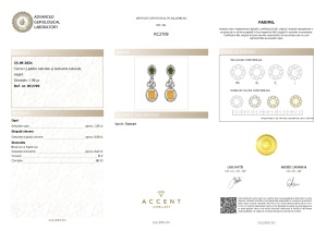 Certificat Gemologic Agl Cercei din argint cu pietre naturale și diamante naturale RC2709
