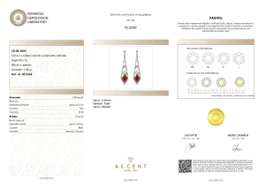 Certificat gemologic Agl Cercei din argint cu rubine și diamante naturale RC2548
