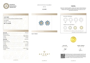 Certificat Gemologic Agl Cercei din aur de 18k cu turcoaz natural de 2.05 și diamante naturale de 0.88 ct. și de 0.25 ct. AC1499