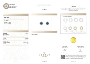 Certificat Gemologic Agl Cercei din aur de 18k cu turmaline naturale de 1.19 ct și diamante naturale de 0.29 ct AC1608