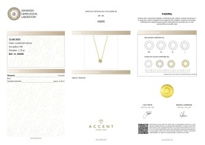 Certificat AGL GEMS Colier cu diamant natural aur 14k as600