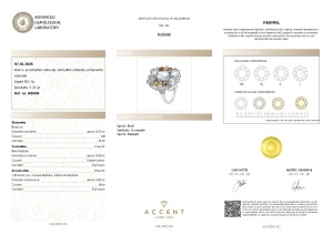 Certificat Gemologic Agl Inel cu acvamarine naturale, turmaline naturale și diamante naturale RI8996