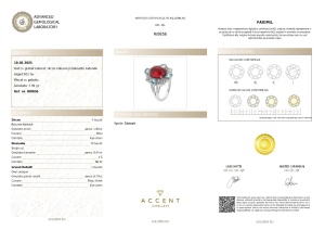 Certificat Gemologic Agl Inel din argint cu granat, zircon și diamante naturale RI8856