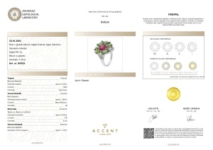 Certificat Gemologic Agl Inel din argint cu rodolit, chrome diopsid, topaze și diamante naturale RI9024