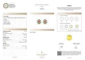 Certificat Gemologic Agl Cercei din argint cu granat natural, diopsid chrome natural și diamante natural RC2611