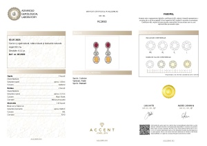 Certificat Gemologic Agl Cercei din argint cu opal natural, rubin natural și diamante naturale RC2693