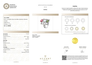 Certificat Gemologic Agl Inel din argint cu acvamarin natural, turmalină naturală și diamante naturale RI8962