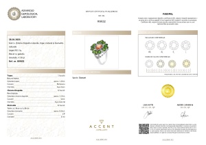 Certificat Gemologic Agl Inel din argint cu chrome diopsid, topaz și diamante naturale RI9032