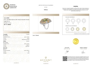 Certificat Gemologic Agl Inel din argint cu turmalină naturală, citrin natural și diamante naturale RI9913
