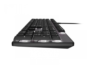 Tastatura Mecanica Gaming Natec Amberjack, USB, Negru si Gri, US - Img 4