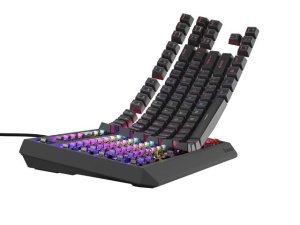 Tastatura Mecanica Gaming Genesis Thor 230 TKL, RGB, USB, negru - Img 5
