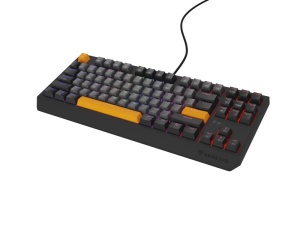 Tastatura gaming mecanica cu fir Genesis Thor 230 TKL, iluminare RGB, switch Linear, switch model Outemu Red, numar taste 87, 11 butoane multimedia, lungime cablu 1.6m, dimensiuni 363 x 155 x 39 mm, gri