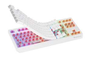 Tastatura gaming mecanica wireless Genesis Thor 230 TKL, iluminare RGB, 87 taste, 11 butoane multimedia, alb - Img 10