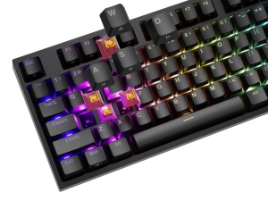 Tastatura Mecanica Gaming Genesis Thor 404, RGB, USB, negru - Img 6