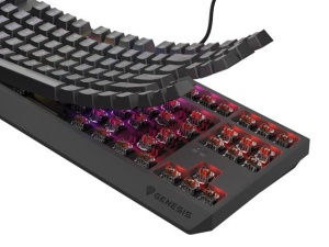 Tastatura Mecanica Gaming Genesis Thor 230 TKL, RGB, USB, negru - Img 7