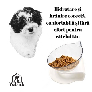 Yatrick Bol de apă sau mâncare pentru animale, elevat și înclinat, cu suport alb, bol transparent cu urechiușe, din plastic, ideal pentru câini și pisici, confort digestiv și postură corectă - Img 3