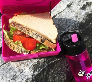 Caserola sandwich, Carl Oscar, culoarea lime