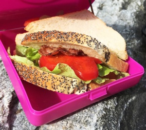 Caserola sandwich, Carl Oscar, culoarea lime