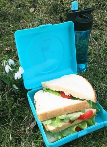 Caserola sandwich, Carl Oscar, culoarea gri