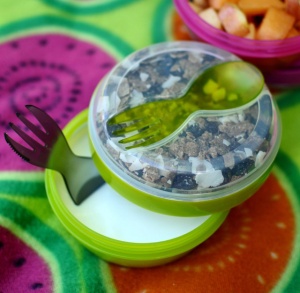 Caserola compartimentata N'Ice Box cu disc racire, Carl Oscar, 0.3l, lime