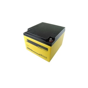 Acumulator plumb 12V/24AH BT2240