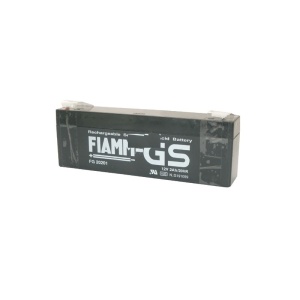 Acumulator plumb 12V-2,0AH FG20201