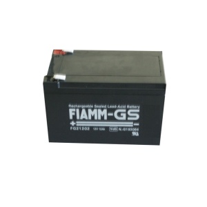 Acumulator plumb 12V-12AH FG21202