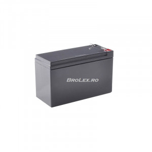 Acumulator 12v9AH 20HR 6FM9