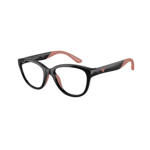 Armani 0EK3002 5017 47