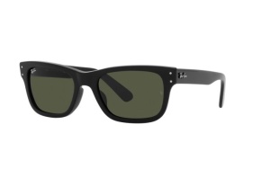 Ray Ban 0RB2283 901/3155