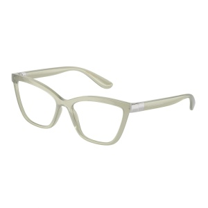 Dolce&Gabbana 0DG5076 3345 55