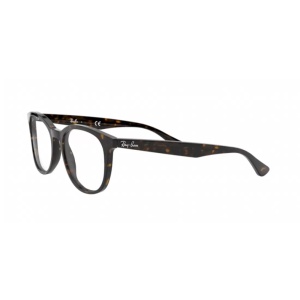 Ray Ban 0RX5356 2012 52