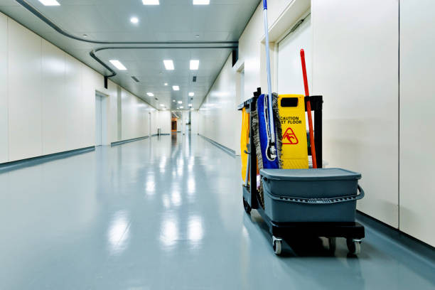 Curățarea corespunzatoare a linoleumului și a covorului PVC: Ghid complet
