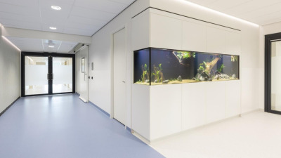 Studiu de caz: Centrul Medical al Universității din Amsterdam