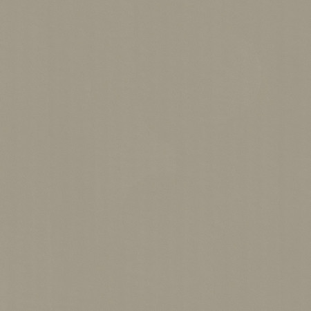Linoleum Covor PVC TAPIFLEX PLATINIUM 100 - Uni DARK BEIGE