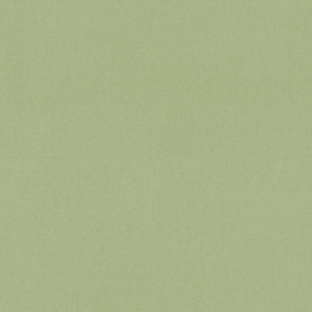 Linoleum Covor PVC TAPIFLEX ESSENTIAL 50 - Chambray GREEN