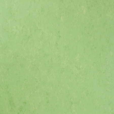 Linoleum Tarkett Veneto xf²™ (2.5 mm) - Veneto APPLE GREEN 754