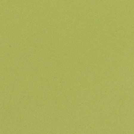 Linoleum ETRUSCO xf²™ (2.5 mm) - Etrusco ANISE 095