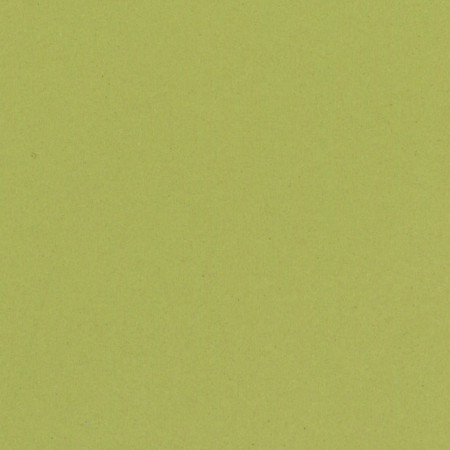Linoleum Tarkett ETRUSCO xf²™ (2.5 mm) - Etrusco ANISE 095