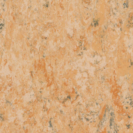 Linoleum Tarkett Veneto Essenza (2.5 mm) - Veneto CAMEL 616