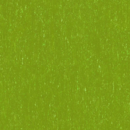 Linoleum Trentino xf²™ (2,5 mm) - Trentino LIME 551