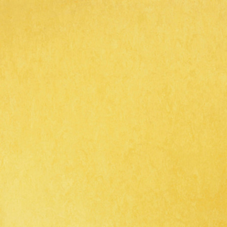 Linoleum Tarkett STYLE EMME SILENCIO xf²™ 18 dB - Style Emme GIALLO 219