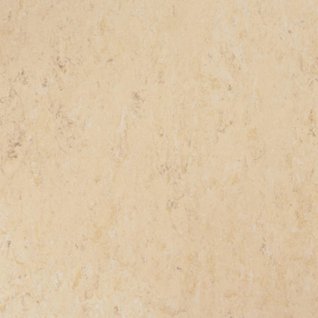 Linoleum Tarkett Veneto neutral710 www.linoleum.ro