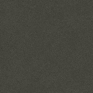 Covor PVC linoleum Tarkett Ruby 70 - Nature BLACK