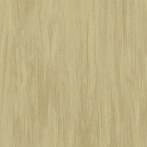 Covor PVC linoleum Tarkett Vylon PLUS - Vylon STRAW 0596